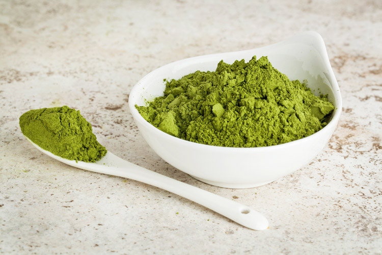 moringa-1