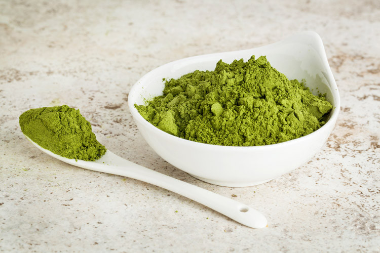 moringa-1