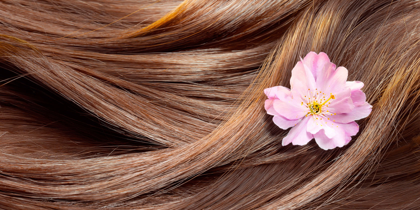 So bezaubernd sind Hair Charms