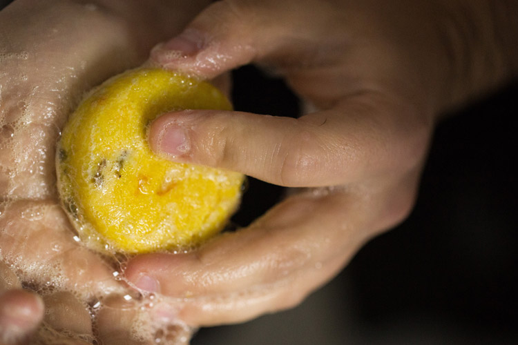 lush shampoo bar