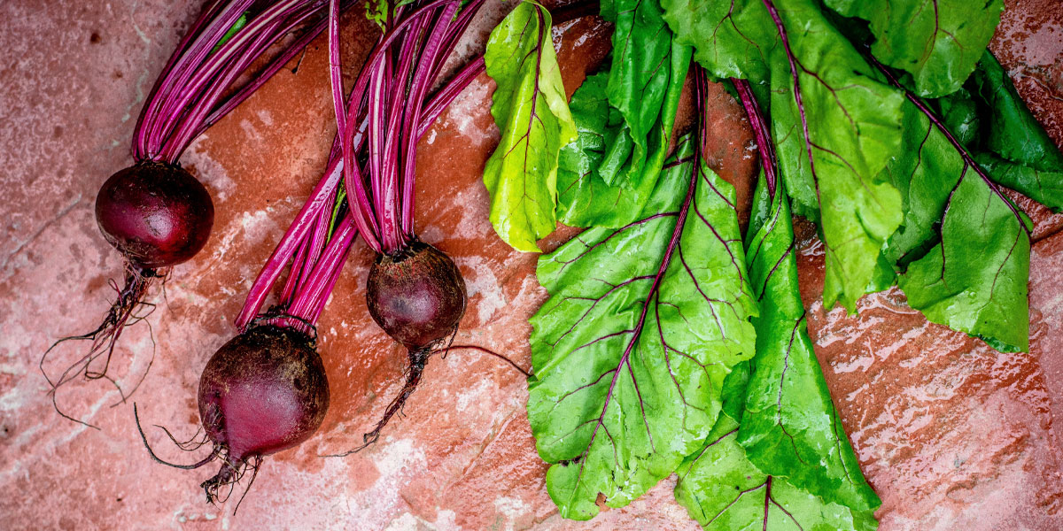 rote bete titelbild beauty food