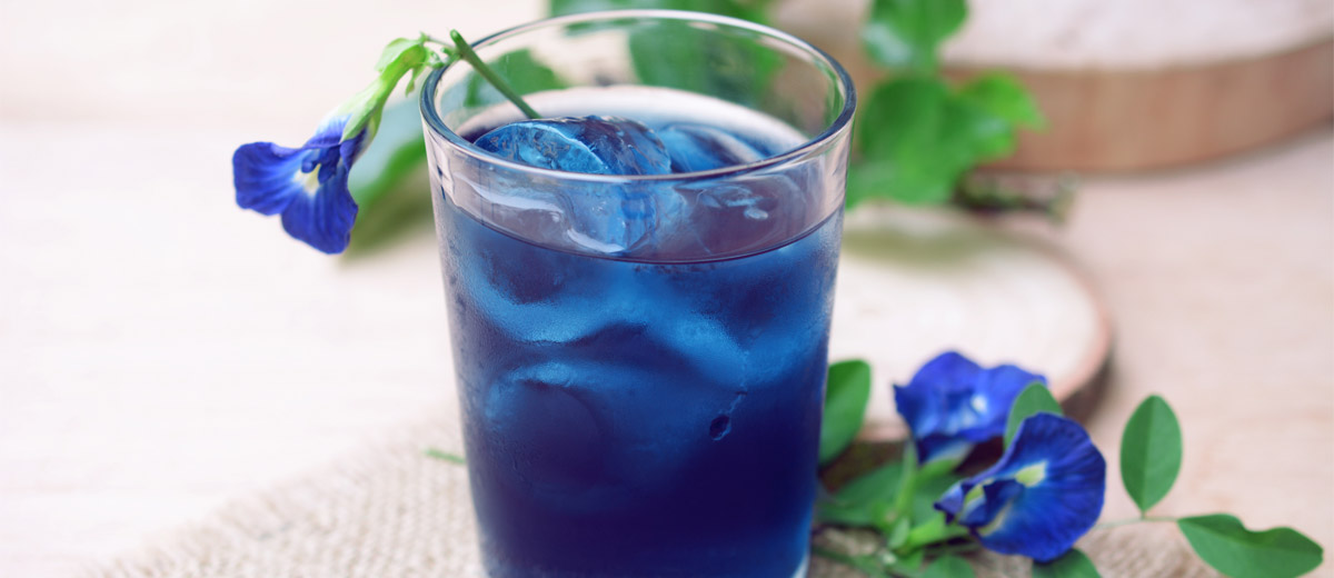 Blaues Wunder Zur Teestunde Butterfly Pea Tea