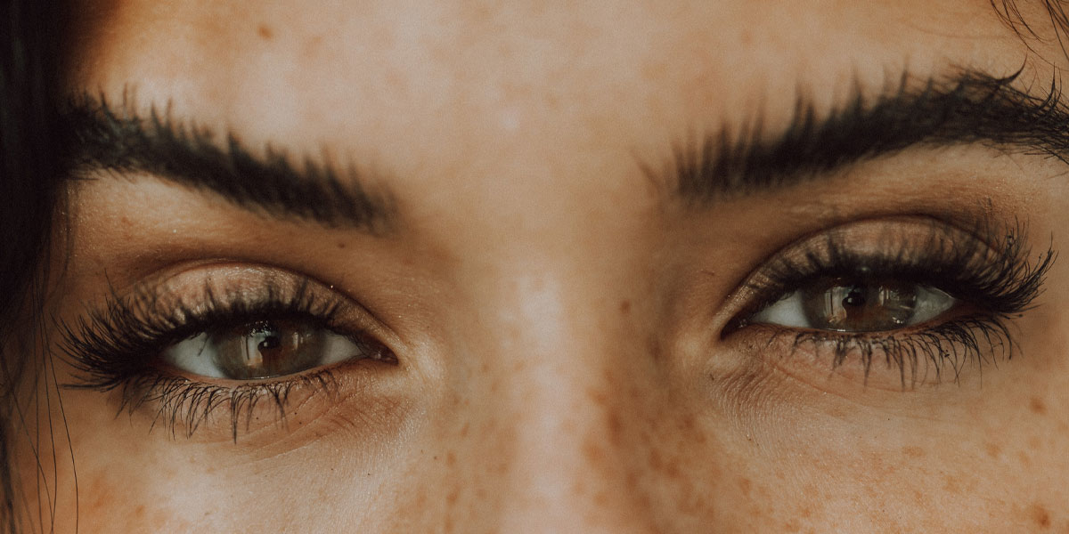 feathered brows