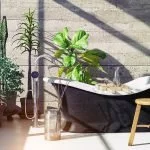 shower plants