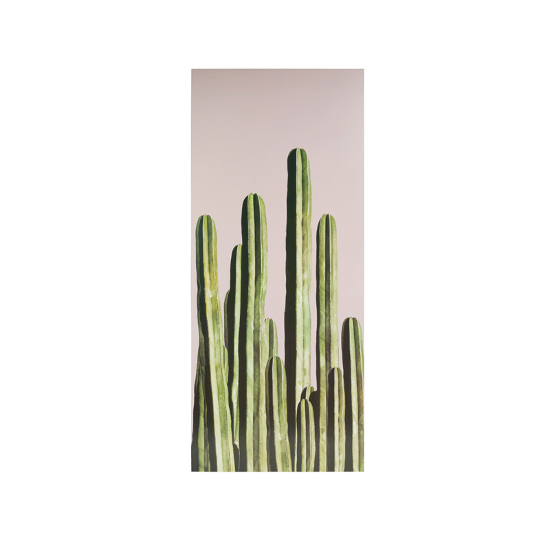 maisonsdumonde kaktus bild