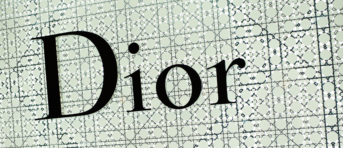 Saddle Bag Dior