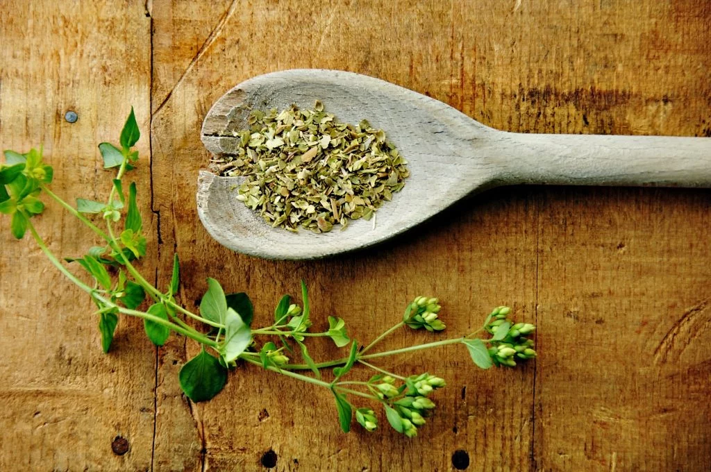 oregano