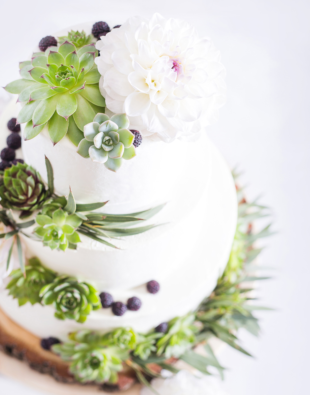 hochzeitstorte mit sukkulenten