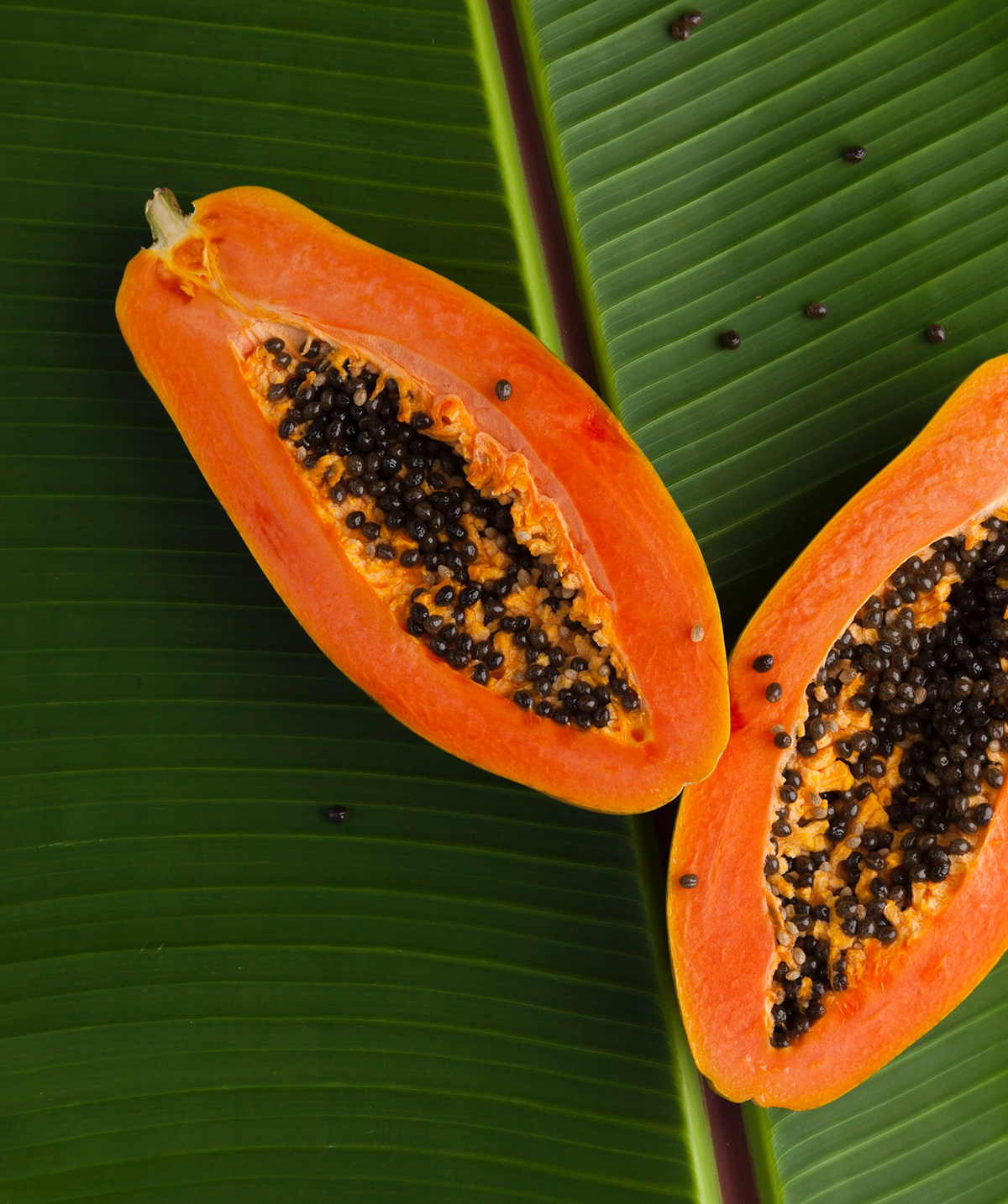 papaya auf gruenem blatt