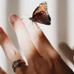 hand mit schmetterling