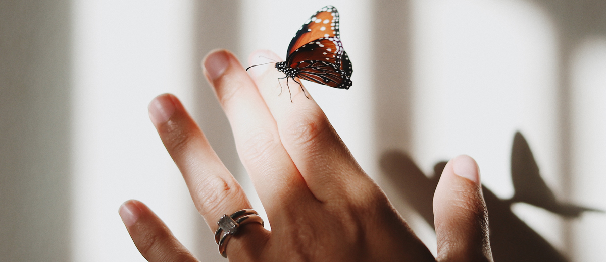 hand mit schmetterling