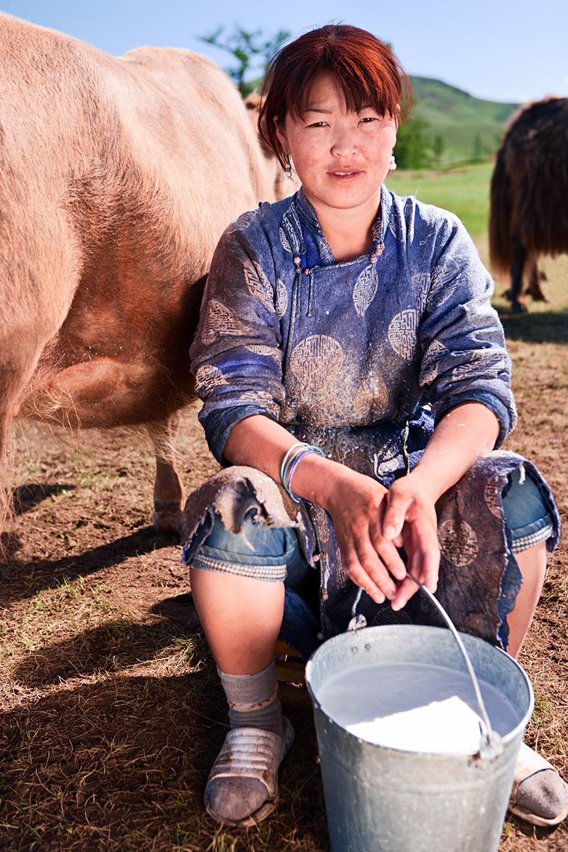 mongolische frau mit einem eimer mit yakmilch