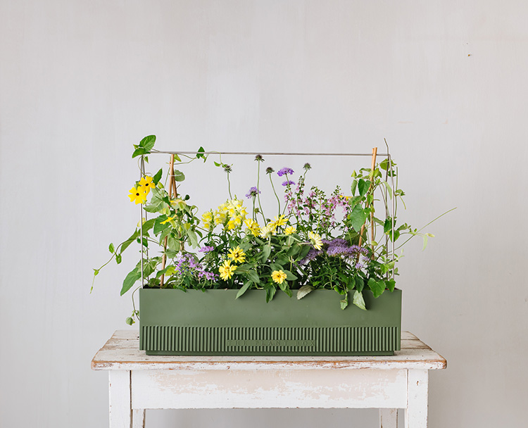 Hey Balkonistas, The Plant Box launcht zwei Neuheiten zum Frhlingsbeginn!