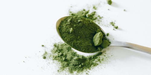 matcha pulver