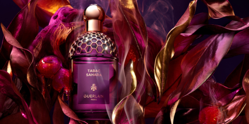 ABSOLUS_ALLEGORIA_-_TABAC_SAHARA