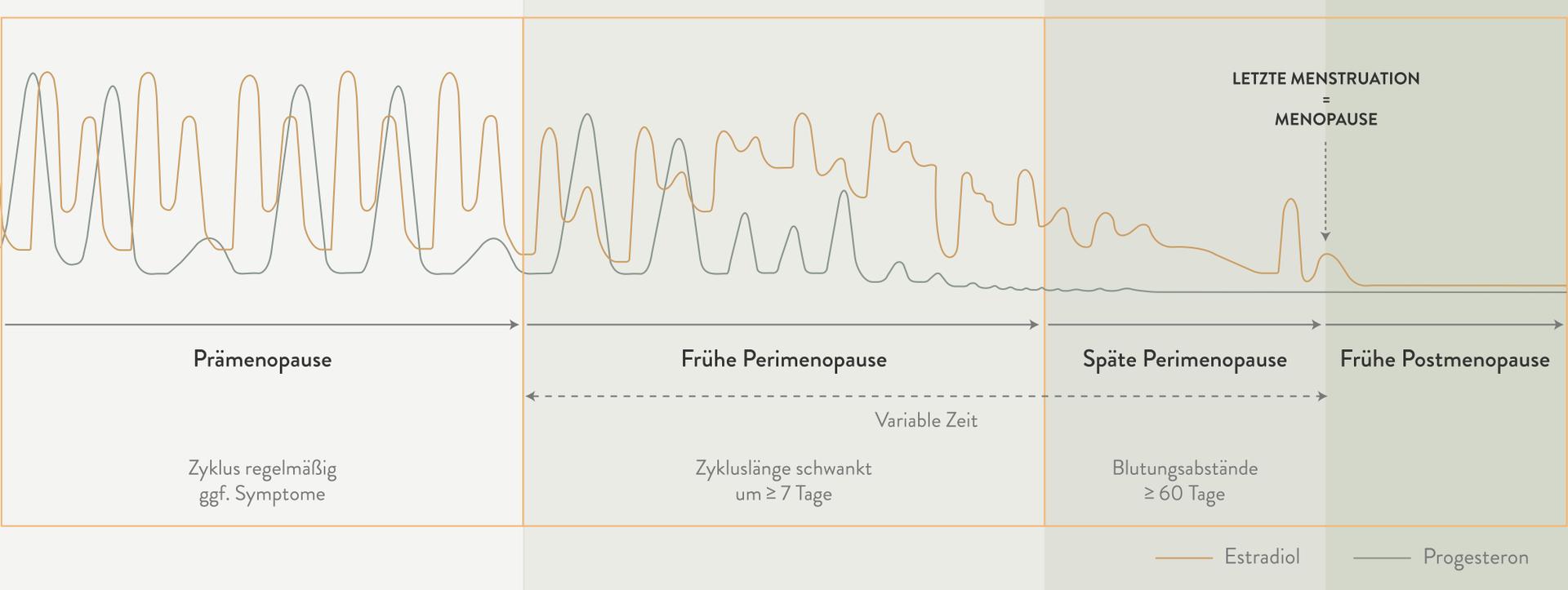Sunday Natural Überisicht Hormone 1